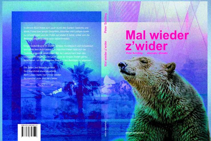 Cover mal wieder z'wider